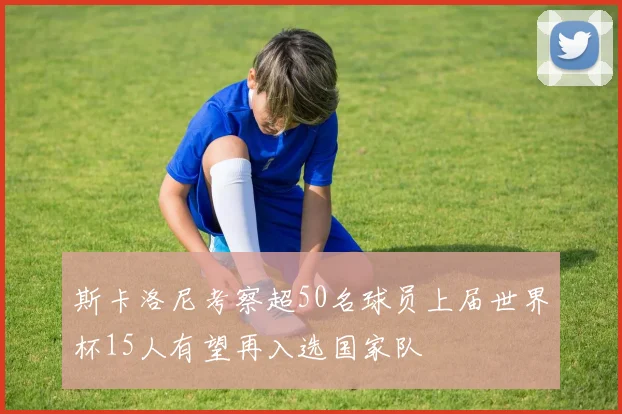 斯卡洛尼考察超50名球员上届世界杯15人有望再入选国家队